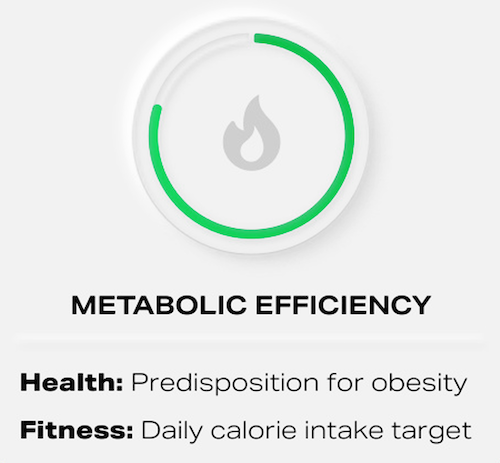 Metabolic Efficiency Toronto